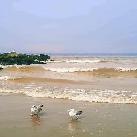 דירה Den Oever Iii 302 With Sea View